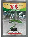 久育種苗 昇竜(ハイパワーブルームレス台木南瓜) 100粒詰 [久留米原種育成会]
