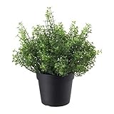 ＩＫＥＡ/イケア　FEJKA：人工観葉植物20 cm　ベビーティアーズ （903.953.23）