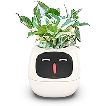 スマートプランター Ivy　新品未使用 Amazon.co.jp: Ivyスマートプランター スマート植木鉢