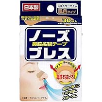 ◉Oe1022 大日本製薬 FLUMARK 医療用鼻腔模型 丸善 新日本造型 51KSG8q2RRL._AC_UL210_SR210,