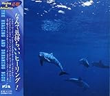 �q�[�����O&�h���[�~���O�E�u���[