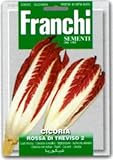【種子】【FRANCHI社】【40/4】リーフチコリー　ROSSA DI TREVISO 2