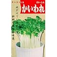 スプラウト 種 【 大根 かいわれ 】 種子 小袋（約40ml）