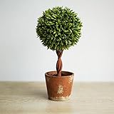 KAIMO 観葉植物 インテリア トピアリー 人工 プリザーブドトピアリー プリザーブドグリーン プリザーブドフラワー ボ ギフト プレゼント お祝い 【ギフト】［ ボックスウッドトピアリー／BALL