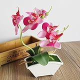 人工バタフライOrchidシミュレーションリアルタッチLeaves Plants全体的な One Size ピンク SFBHA32825488087