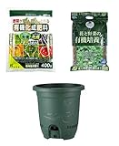 花市場直送便 実物野菜 栽培セット