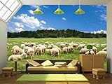 wall26 – 自己粘着壁紙大壁壁画シリーズ 100"x144" WMR-WP-X-C417-100x24x6