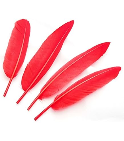 カーニバル衣装 レッド フェザー 純正ダチョウ羽 Amazon | 羽・羽根・装飾・パーツ・フェザーマラボー小（10枚）赤
