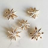 スターアニス　プラチナ　5個入り【実】【ドライ】【木の実】