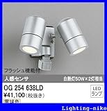 オーデリック　エクステリアライト 【OG 254 638LD】【OG254638LD】