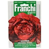 野菜の種 リーフチコリー ORCHIDEA ROSSA 40/64