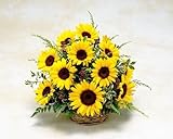 明るく元気が出る幸運ヒマワリのデザイナーオーダー 日時指定無料