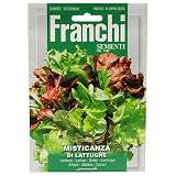 野菜の種 レタスブーケ DI LATTUGHE 93/1