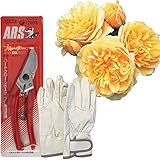 バラ苗 イングリッシュローズ グラハム・トーマス 剪定はさみ 革手袋 Lサイズ プロ仕様 ギフトセット