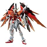 METAL BUILD デスティニーガンダム (ハイネ機) 全高約18cm ABS&PVC&ダイキャスト製 フィギュア