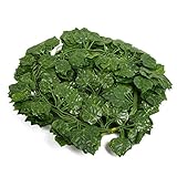 Auntwhale 2m人工アイビーリーフガーランド植物ブドウ吊りウェディングガーランドフェイク葉花ホームキッチンガーデンオフィスウェディングウォールデコレーション