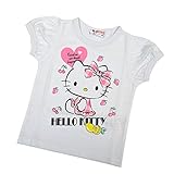 半袖Tシャツ ハローキティ マイメロディ サンリオ SANRIO 子供用 キッズ ベビー fo-ht02 90cm E柄