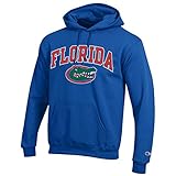 Florida Gatorsアーチwithロゴフード付きスウェットシャツ S