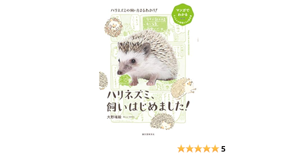 メール便無料 ハリネズミ関連の出品において 灰皿