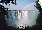 Ian Cumming壁Peel壁アートプリントレインボーというタイトルのフロントのVictoria Falls ;ジンバブエ 24" x 17" 1900416_14_24x17_none