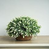 KAIMO 人工観葉植物　盆栽　鉢植え　レトロ半円形の花の装飾品 庭　部屋　ホテル　会社　学校　装飾 - 白い