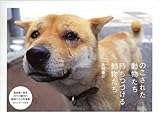 のこされた動物たち待ちつづける動物たち(2冊セット) のこされた動物たち待ちつづける動物たち(2冊セット)