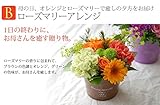 母の日2017『香りの花と横浜スイーツ』生花 送料無料 母の日 早割 スイーツ付アレンジ 生花　ムーンダスト　　カーネション フラワー ギフト 母の日ギフト 母の日 人気 母の日 お菓子 母の日洋菓子