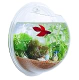 アクアリウム 壁掛け水槽 観葉植物 金魚鉢 テラリウム カラー 小石 タモ 留め具セット