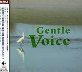 Gentle Voice