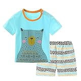 【SEBLES】ベビー服 ベビー 赤ちゃん 男の子 女の子 半袖 Ｔシャツ 短パン パンツ シャツ セット 夏 キャラクター プリント 可愛い 涼しい コットン 綿(タイプK,130cm)