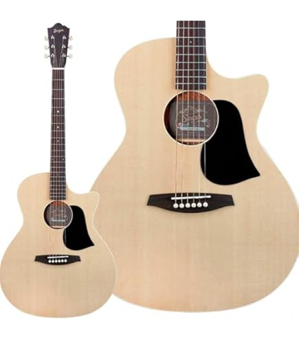 Amazon | aNueNue Bird Guitar aNN-L10E Solid Sitka Spruce Top
