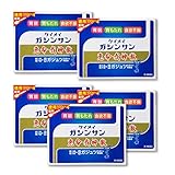 【第2類医薬品】恵命我神散 100g×4 ×5