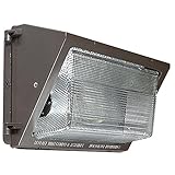 Sunset Lighting F7305-66 Outdoor Wall Sconce with UV Stabilized Clear Borosilicate Glass, Bronze Fin