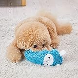 ペティオ (Petio) 犬用おもちゃ モコモコシャカシャカTOY ライオン 超小型・小型犬用 1個 (x 1)