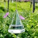 SHINA 2個セット ハンギング ガラス 花瓶 水栽培ポット 観葉植物 水耕栽培植物 ホームデコレーション