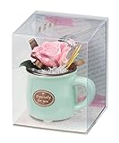 Paseo クリアケース入り プリザーブドフラワー カラフルミニカップ グリーン 8×8×H10cm M-14A