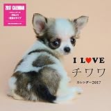 I LOVE チワワカレンダー2017 壁掛け(ミニ) ([カレンダ-])