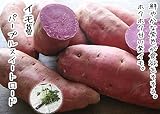 【 生産農場直送 】 さつまいも苗 芋づる パープルスイートロード 1束10本入り サツマイモ イモヅル