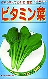 カネコ種苗 野菜タネ526 ビタミン菜 10袋セット