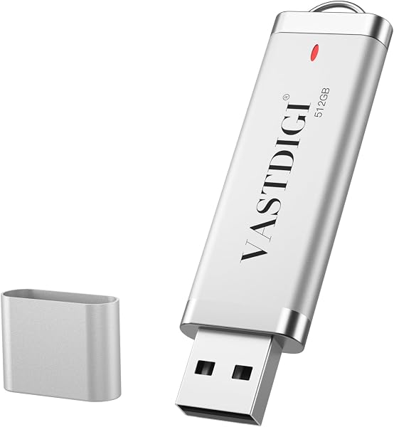 VASTDIGI 512GB USB 2.0 High Speed USB Memory with Cap/Strap Hole/LED Indicator, Small Lightweight Eco-Friendly ABS Shell, Silver - 1