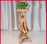フラワースタンド ソリッドウッドフラワースタンドルートカービング屋内バルコニーリビングルームプラントスタンドビッグ Flower racks (色 : B)