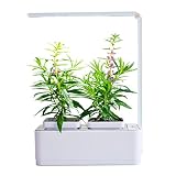 空気庭の収穫と食品のハーブシードバッグのスーツ水の植物の成長機自動給水給水怠惰な屋内花のポットサイズ260 * 210 * 107ミリメートル