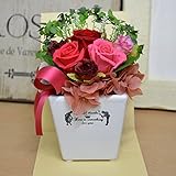 〔エルフルール〕プリザーブドフラワー ガーリー レッド クリアケース付 フラワーギフト 母の日 誕生日 お祝い プレゼント 花