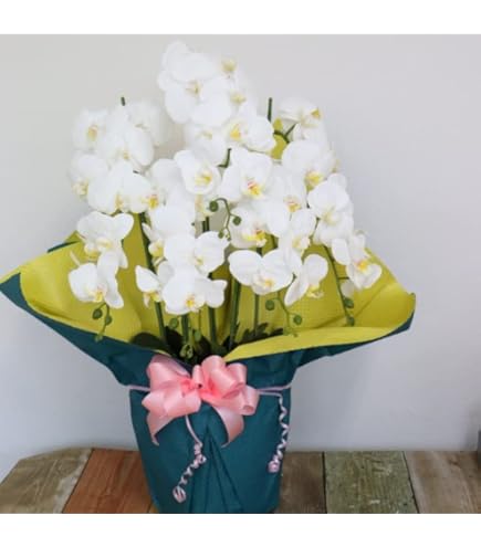 光触媒　人工観葉植物　フェイクグリーン　フレッシュ胡蝶蘭 3本立W afdf7ec276e9b340a3f49eec040b32