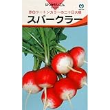 廿日大根 種 【スパークラー】 小袋（約10ml）