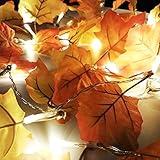 RaiFu ストリングスライト バッテリー ボックス 葉の文字列の照明 夜 ランプ​​ ガーデン ホーム パーティーバー 装飾 3m