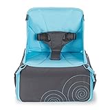 Munchkin Travel Booster Seat