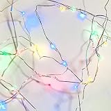 感謝祭文字列ライト – 10 ft 40leds Long電池式銅がリモート&ワイヤタイマーforインドア/ Coveredアウトドア/秋パーティ&ホーム/寮の部屋デコレーション 1.0×3.9×7.