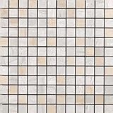 Samson 1043733 Travertini Polished 1 X 1モザイク床と壁タイル、12 x 12インチ、Grigio /クリーム、1ピース