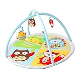 SKIPHOP ファンスケープ・アクティビティジム TYSH303350